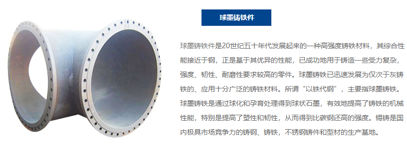 球墨鑄鐵件3 球墨鑄鐵件3